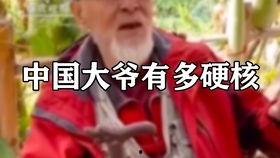 大爷硬核吃瓜,揭秘娱乐圈幕后真相