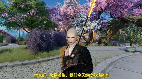 吃瓜密室,一场惊心动魄的神秘冒险之旅