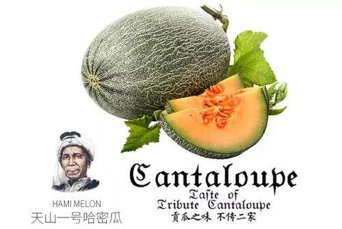 mac的892色号吃瓜吃瓜,吃瓜神器，轻松驾驭夏日妆容