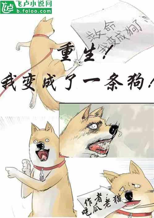 小狗吃瓜视频合集,小狗吃瓜视频合集欢乐盘点