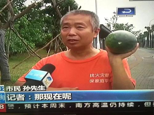 锦华吃瓜群众事件视频,网络围观下的社会现象剖析