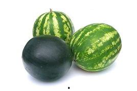 磁县吃瓜事件,一场网络舆论的风暴与反思