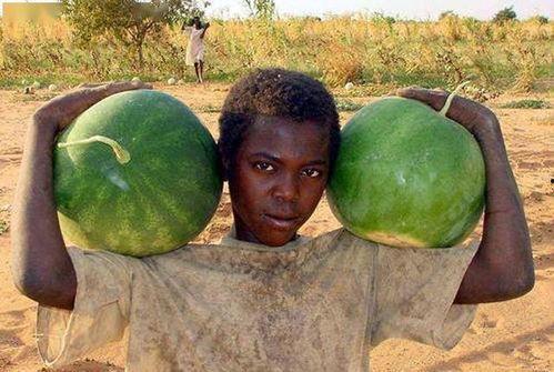 美国舒然吃瓜,揭秘美国吃瓜群众的日常生活与心态