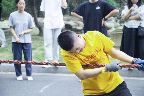 吃瓜到处舞,揭秘“到处舞”现象背后的文化潮流