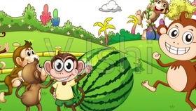 猴子吃大老瓜视频大全,趣味横生吃瓜瞬间大盘点