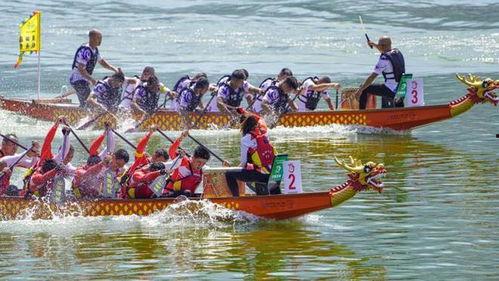 吃瓜群众龙舟赛,吃瓜群众共赏龙舟竞渡盛宴