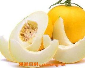 伊丽莎白瓜孕妇可以吃吗,孕妇食用指南与注意事项
