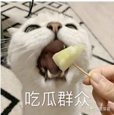 吃瓜吃瓜社会社会,社会社会，吃瓜吃瓜