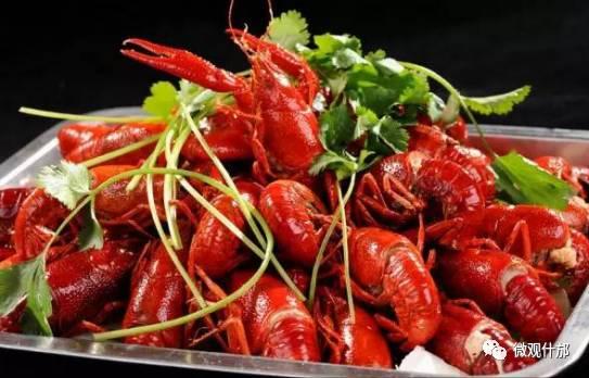 梦见摘瓜抓龙虾吃,摘瓜抓龙虾，尽享丰收美味