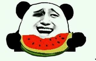 秀才吃瓜鬼畜视频,鬼畜视频笑料横生