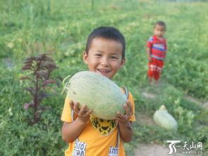 吃瓜群众小孩趣事,吃瓜群众小孩的趣味趣事