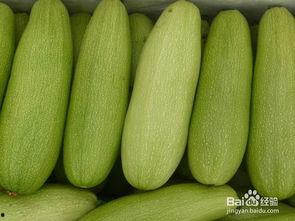 吃生白瓜,生白瓜的清新口感与营养价值