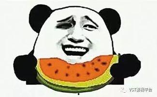 吃瓜群众苏呆呆,揭秘娱乐圈那些事儿