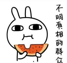 吃瓜群名称大全搞笑,揭秘吃瓜群名称大全中的搞笑密码