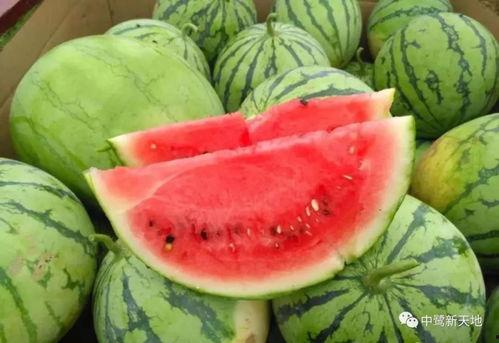 hlj吃瓜今日热门,揭秘今日热门事件背后的真相与热议