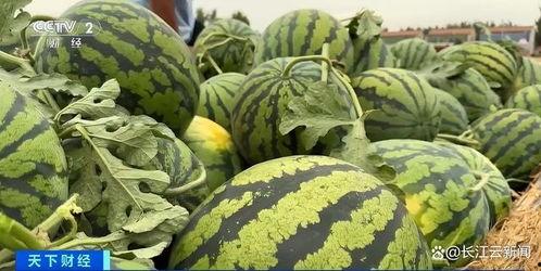 最热最全吃瓜,揭秘娱乐圈幕后真相