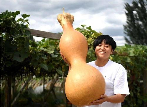 固安县吃瓜,探寻当地特色美食之旅