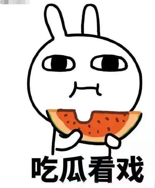 活宝吃瓜完结,一场爆笑的美食冒险之旅