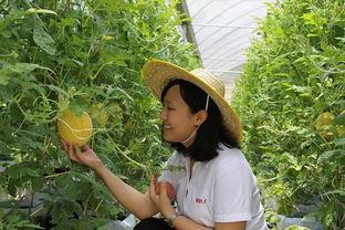 青州小孩吃瓜,小孩吃瓜的欢乐时光