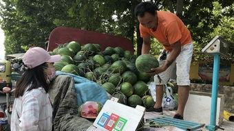 济宁吃瓜的事,揭秘背后真相与网络舆论风暴