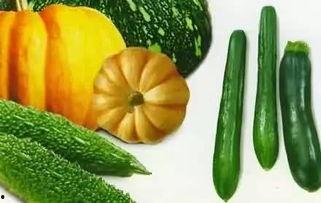 史努比吃瓜,一场欢乐的吃瓜盛宴